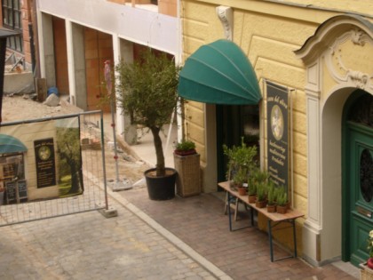 Foto: Casa del Oliva 